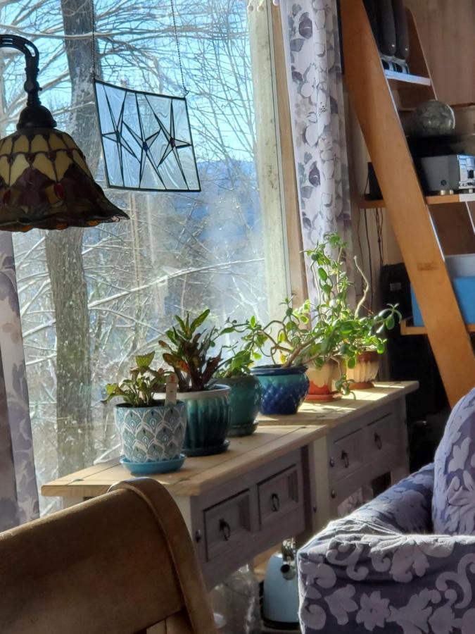 Treehouse Cathedral In Blue Ridge Mountains, Nc Villa Burnsville Eksteriør billede