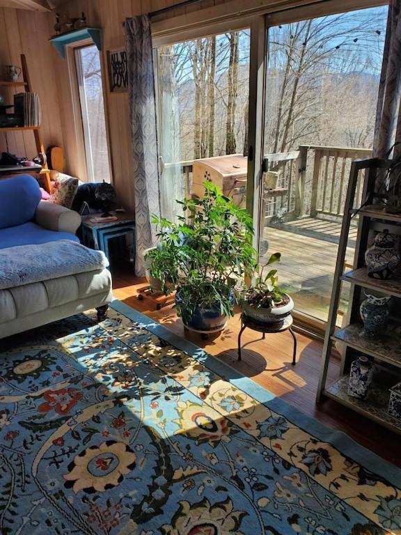 Treehouse Cathedral In Blue Ridge Mountains, Nc Villa Burnsville Eksteriør billede